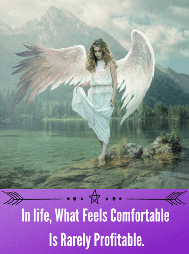 In life, What Feels Comfortable Is Rarely Profitable.
